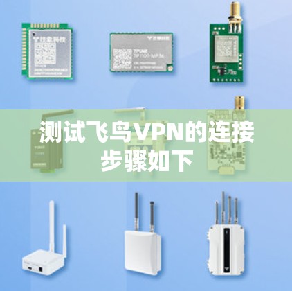 测试飞鸟VPN的连接步骤如下