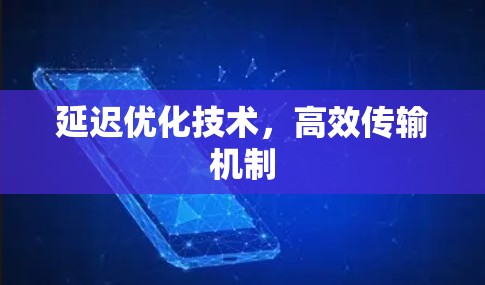 延迟优化技术,高效传输机制