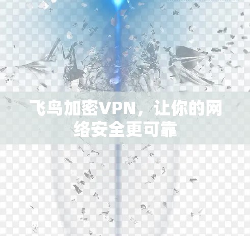 飞鸟加密VPN,让你的网络安全更可靠