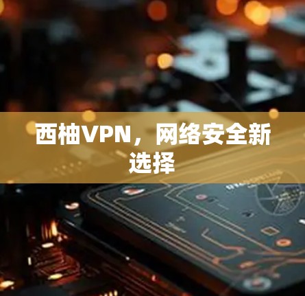 西柚VPN,网络安全新选择