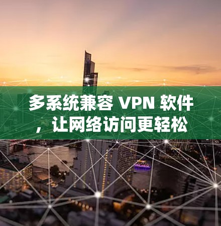 多系统兼容 VPN 软件,让网络访问更轻松