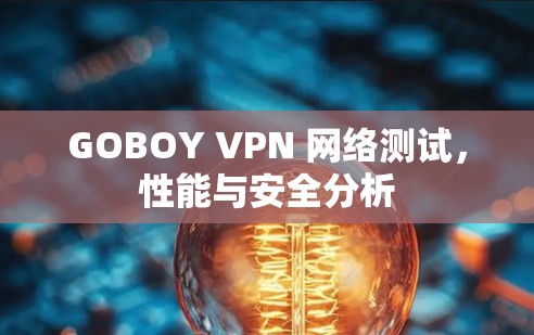 GOBOY VPN 网络测试,性能与安全分析