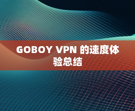 GOBOY VPN 的速度体验总结