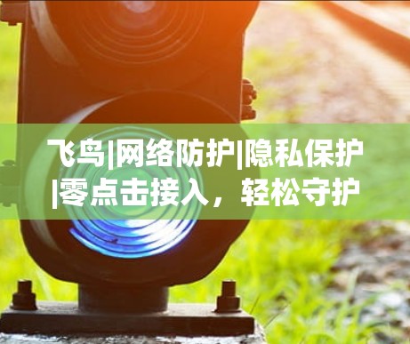 飞鸟|网络防护|隐私保护|零点击接入,轻松守护你的网络世界