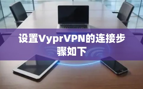 设置VyprVPN的连接步骤如下