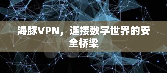 海豚VPN,连接数字世界的安全桥梁