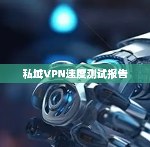 私域VPN速度测试报告