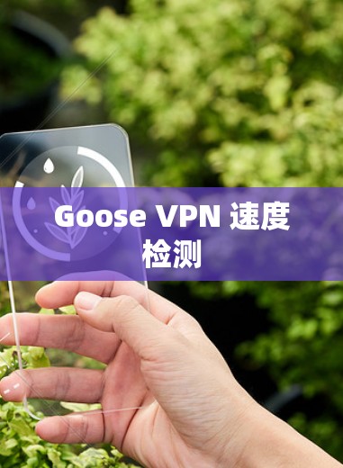 Goose VPN 速度检测