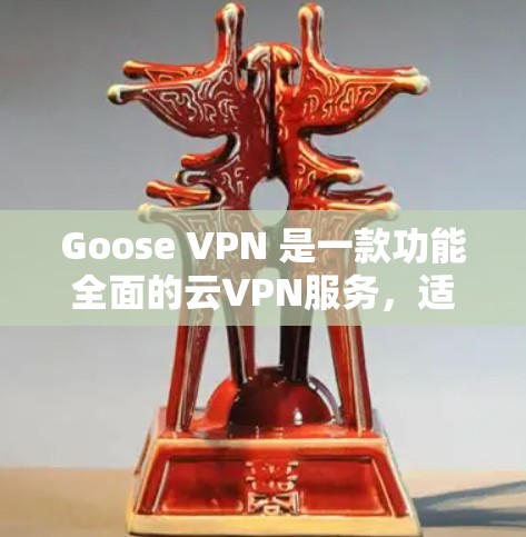 Goose VPN 是一款功能全面的云VPN服务,适合需要访问多个服务器或同时与多个用户连接的用户。以下是对其功能的评测