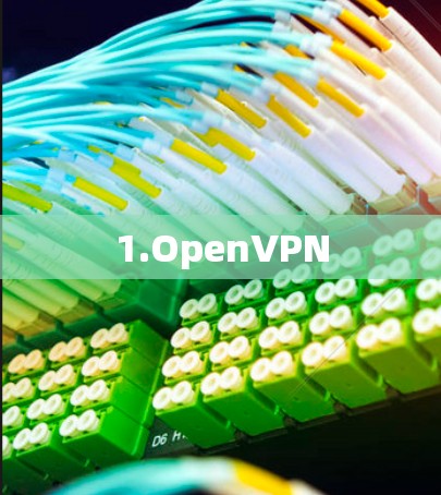 1.OpenVPN