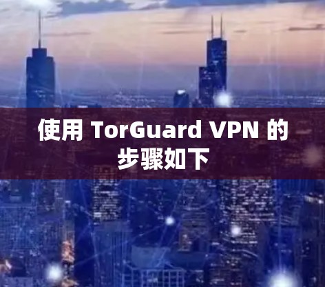 使用 TorGuard VPN 的步骤如下