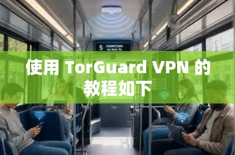 使用 TorGuard VPN 的教程如下