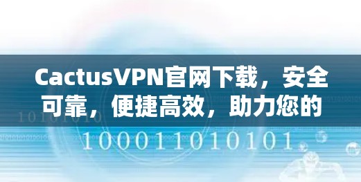CactusVPN官网下载，安全可靠，便捷高效，助力您的VPN服务