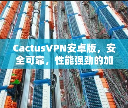 CactusVPN安卓版,安全可靠,性能强劲的加密网络解决方案