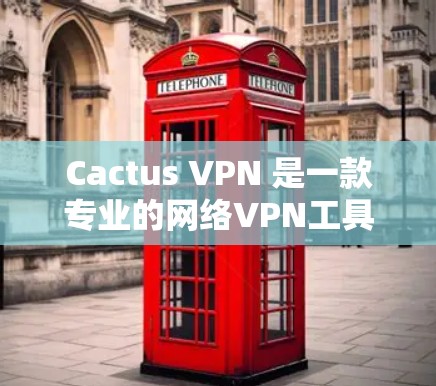 Cactus VPN 是一款专业的网络VPN工具，旨在为用户提供高度安全和灵活的网络连接体验。以下是其主要功能的详细分析
