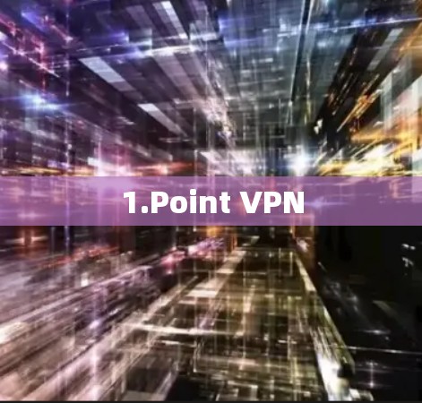 1.Point VPN