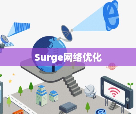 Surge网络优化