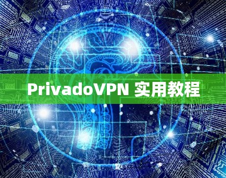 PrivadoVPN 实用教程