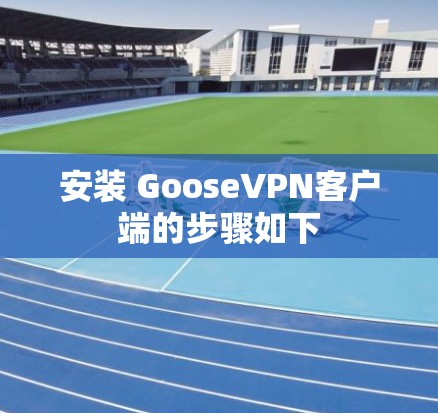 安装 GooseVPN客户端的步骤如下