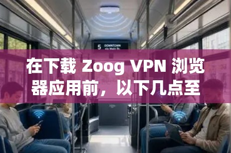 在下载 Zoog VPN 浏览器应用前,以下几点至关重要