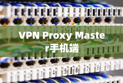 VPN Proxy Master手机端