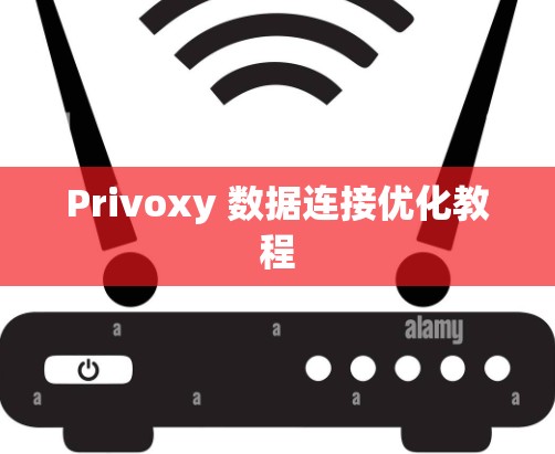 Privoxy 数据连接优化教程