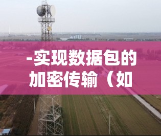 -实现数据包的加密传输（如 128位、256位加密）