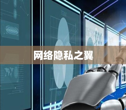 网络隐私之翼