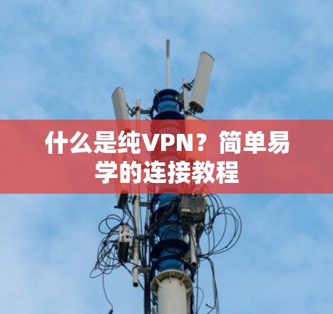 什么是纯VPN?简单易学的连接教程