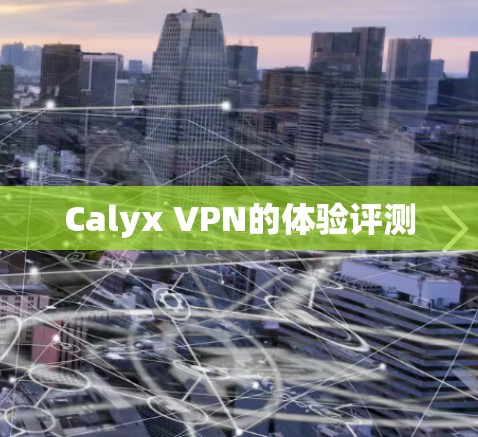 Calyx VPN的体验评测