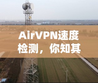 AirVPN速度检测,你知其然也知其然