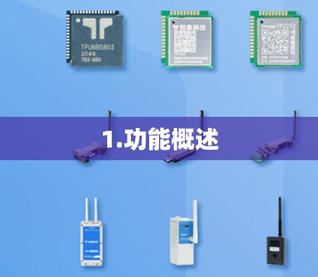 1.功能概述