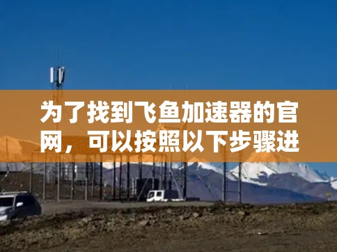 为了找到飞鱼加速器的官网，可以按照以下步骤进行