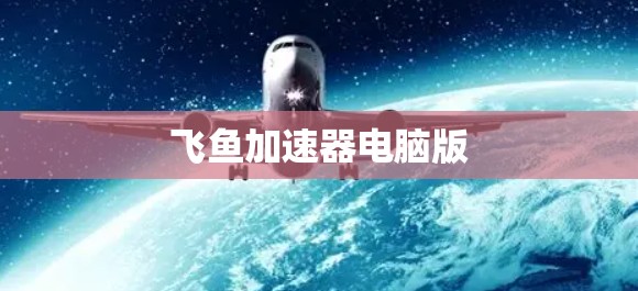 飞鱼加速器电脑版