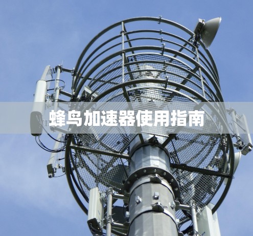 蜂鸟加速器使用指南