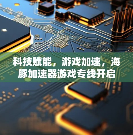 科技赋能，游戏加速，海豚加速器游戏专线开启全新冒险之旅