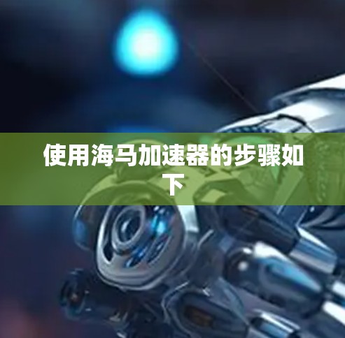 使用海马加速器的步骤如下 使用海马加速器的步骤如下