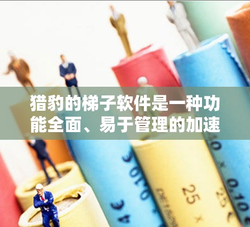 猎豹的梯子软件是一种功能全面、易于管理的加速器软件,旨在提升用户网络下载和使用效率。以下是详细介绍