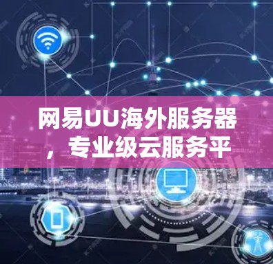 网易UU海外服务器,专业级云服务平台,助力企业数据安全与高效管理