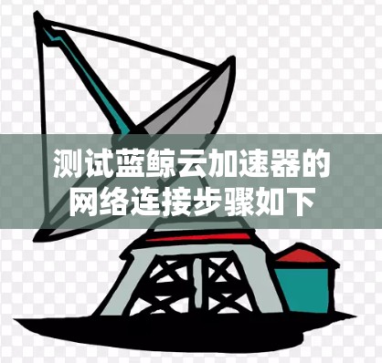 测试蓝鲸云加速器的网络连接步骤如下