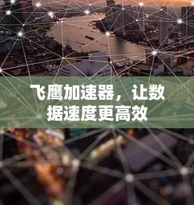 飞鹰加速器,让数据速度更高效