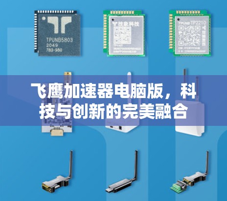 飞鹰加速器电脑版,科技与创新的完美融合