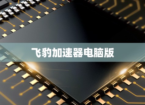 飞豹加速器电脑版
