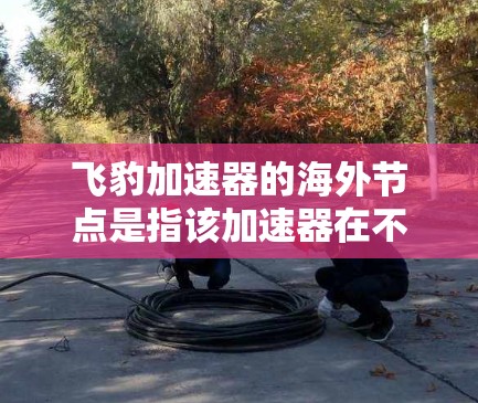 飞豹加速器的海外节点是指该加速器在不同国家和地区上的部署情况。以下是对飞豹加速器在各个地区的详细分析