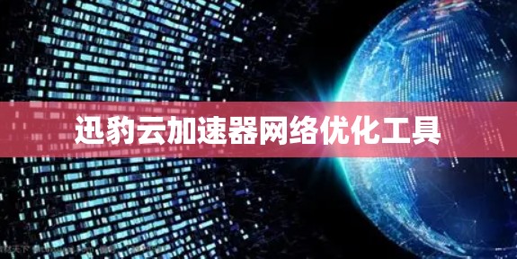 迅豹云加速器网络优化工具