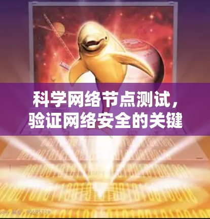 科学网络节点测试，验证网络安全的关键步骤
