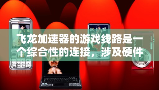 飞龙加速器的游戏线路是一个综合性的连接，涉及硬件、软件、网络和硬件指定部分。以下是对飞龙加速器线路的详细分析
