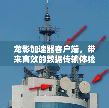 龙影加速器客户端,带来高效的数据传输体验