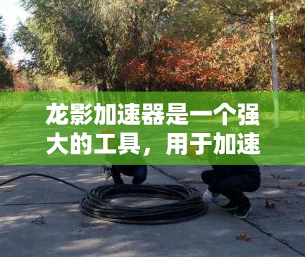 龙影加速器是一个强大的工具,用于加速游戏,提升游戏性能和体验。以下是一个详细的使用步骤指南