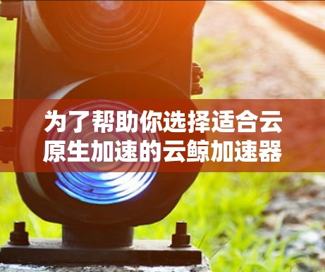 为了帮助你选择适合云原生加速的云鲸加速器,以下是一个结构化的推荐和分析